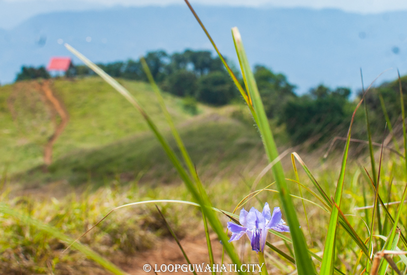 Manipur Tourism: Into the Jewel of Northeast